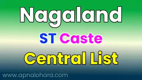 Nagaland Caste List, List of Tribes in Nagaland